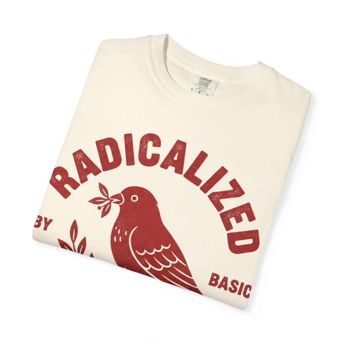 Radicalized By Basic Decency Arched Shirt, Red Folk Bird Tee, Kindness Statement Shirt, Activist Gift