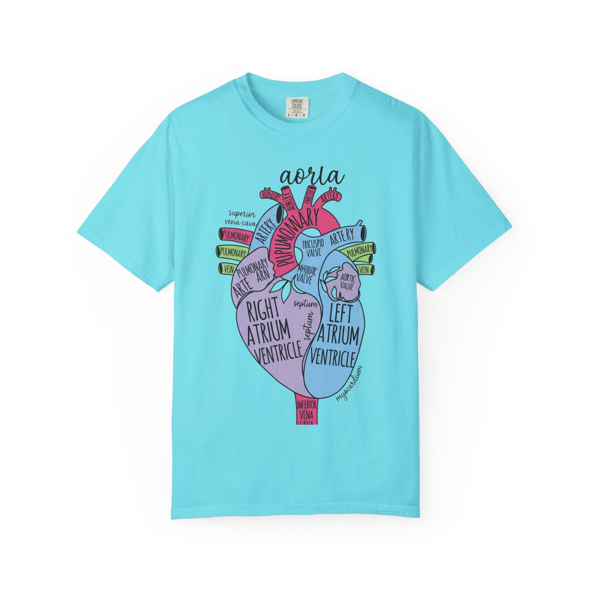 Labelled Heart Anatomy Shirt, Pastel Cardiac Diagram Tee, Nursing School Shirt, Cardiology Gift