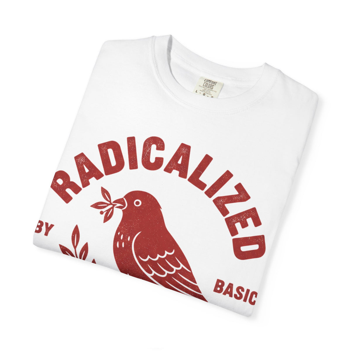 Radicalized By Basic Decency Arched Shirt, Red Folk Bird Tee, Kindness Statement Shirt, Activist Gift