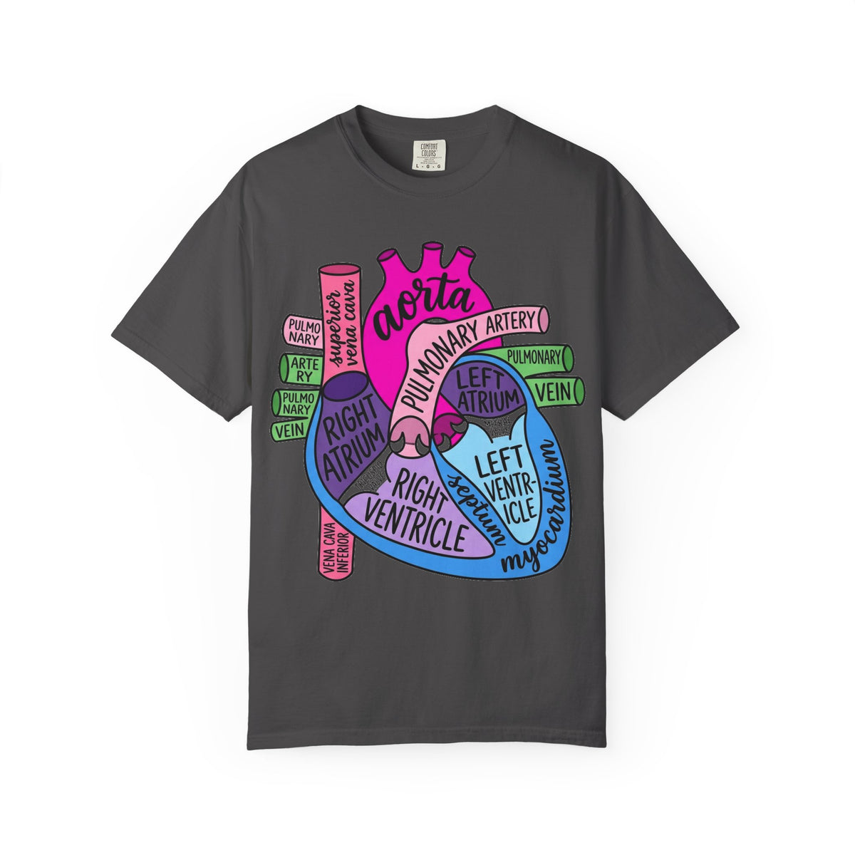 Anatomical Heart Diagram Shirt, Labelled Cardiac Anatomy Tee, Cardiology Nurse Shirt, Med Student Gift