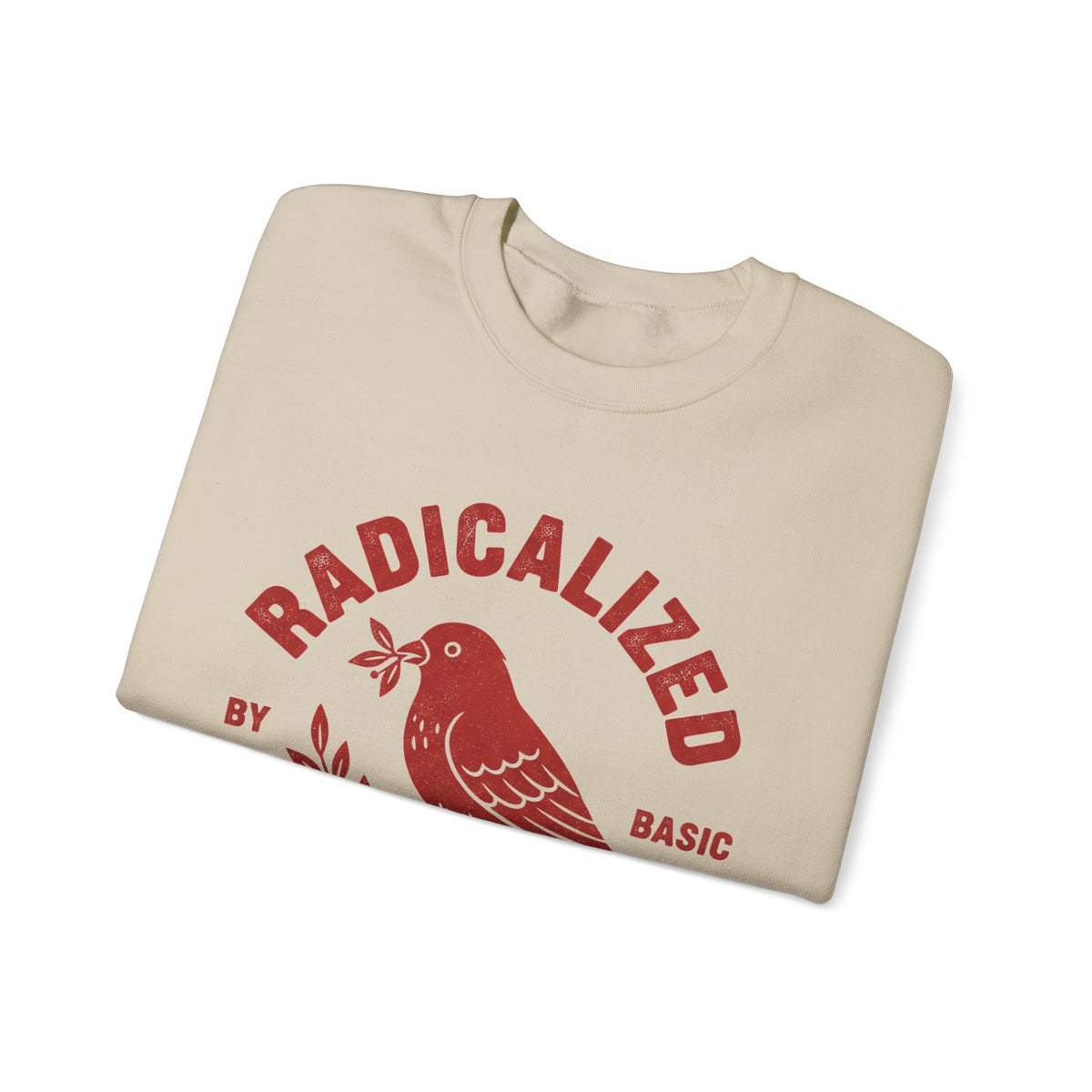 Radicalized By Basic Decency Sweatshirt, Vintage Bird Badge Political Sweatshirt, Progressive Kindness Sweatshirt, Liberal Gift, Retro Activ