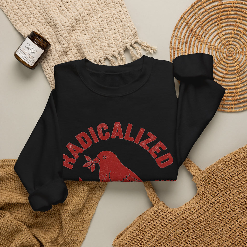 Radicalized By Basic Decency Sweatshirt, Vintage Bird Badge Political Sweatshirt, Progressive Kindness Sweatshirt, Liberal Gift, Retro Activ