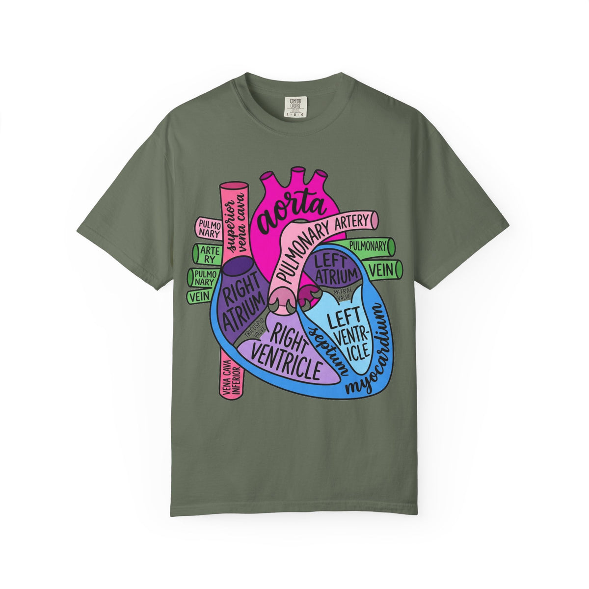 Anatomical Heart Diagram Shirt, Labelled Cardiac Anatomy Tee, Cardiology Nurse Shirt, Med Student Gift
