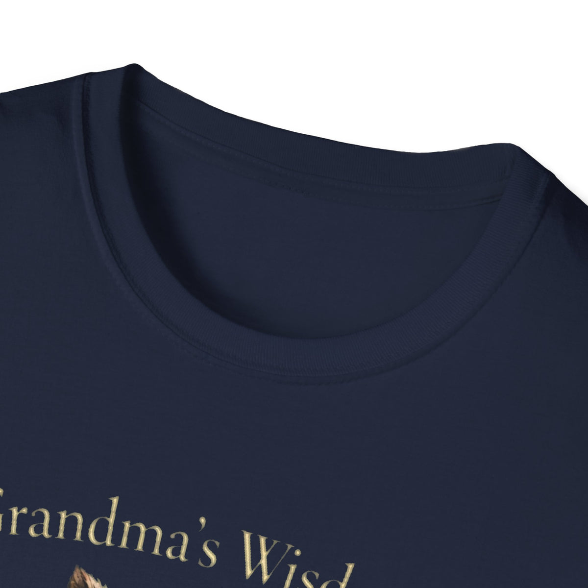 Grandma's Wisdom Priceless Shirt, Wise Owl Grandmother Tee, Nana Gift
