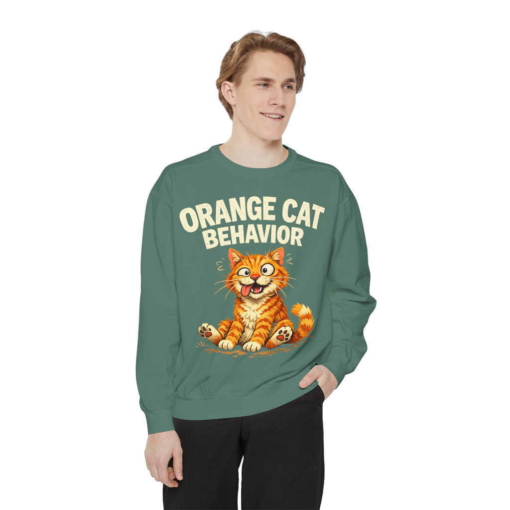 Orange Cat Behavior Sweatshirt — Cute Ginger Kitty Graphic Pullover