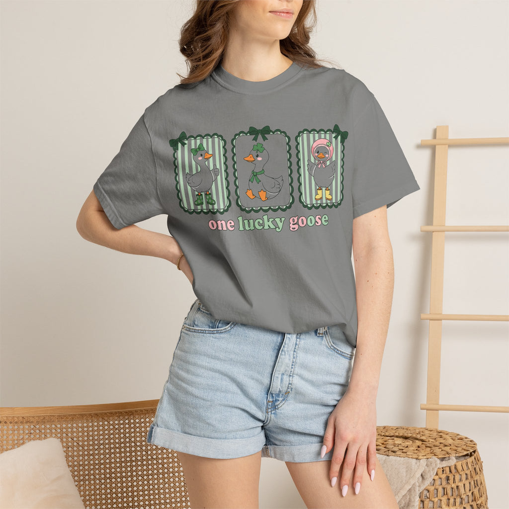 One Lucky Goose Tall Shirt, Three Panel Irish Goose Tee, Cute St Patricks Day Shirt, Shamrock Gift