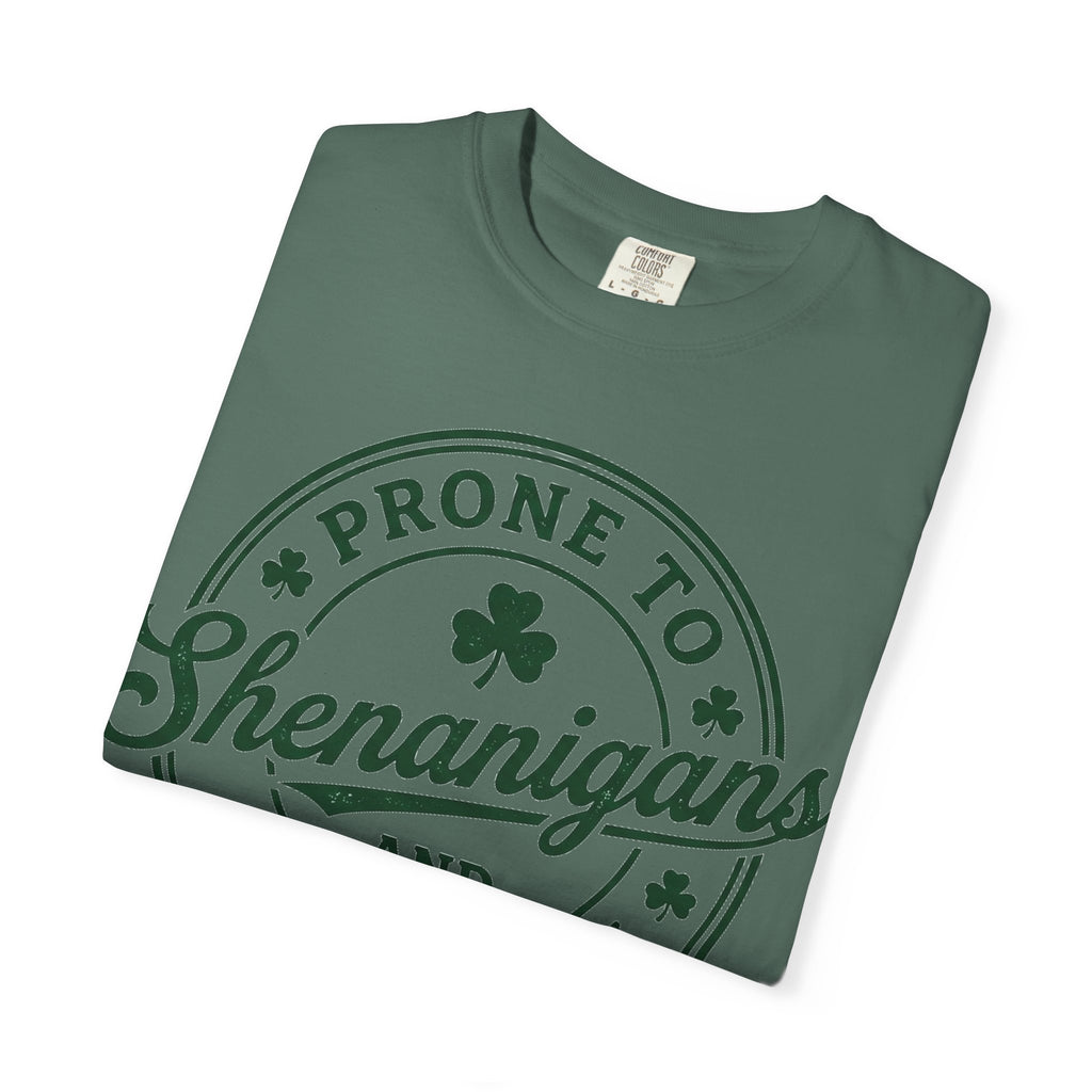 Prone To Shenanigans And Malarkey Shirt, St Patricks Day Badge Tee, Funny Irish Shirt, Paddys Day Gift
