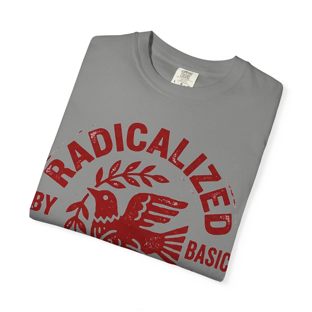 Radicalized By Basic Decency Shirt, Folk Art Dove Stamp Tee, Kindness Activist Shirt, Protest Gift