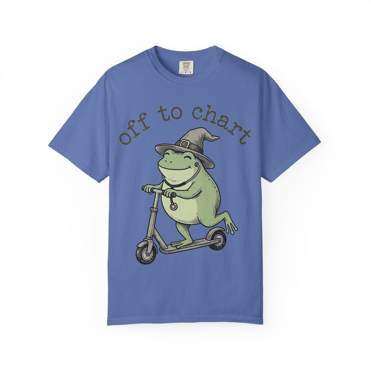 Off To Chart Shirt, Funny Witch Frog Nurse Tee, Charting Nurse Scooter Shirt, RN Gift