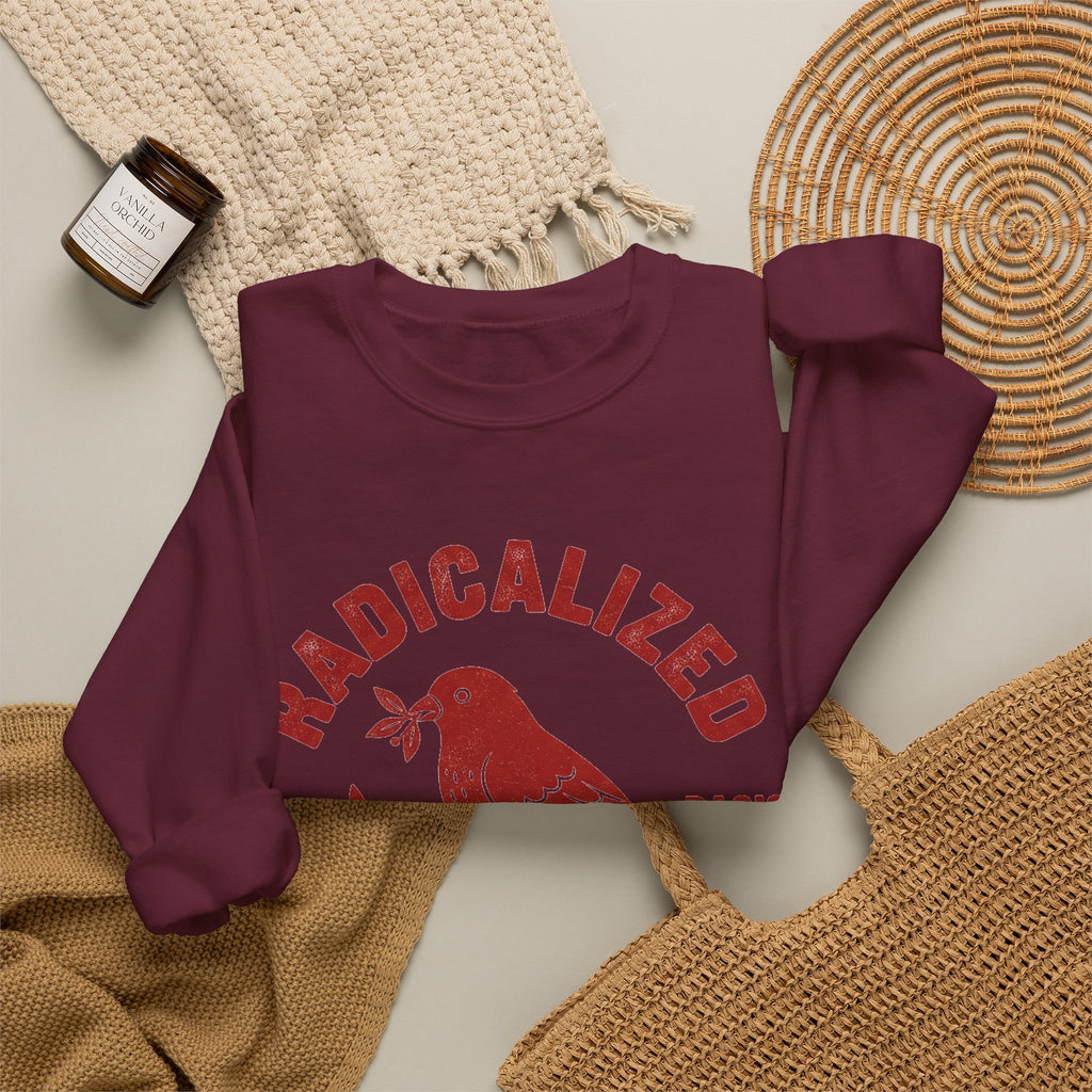 Radicalized By Basic Decency Sweatshirt, Vintage Bird Badge Political Sweatshirt, Progressive Kindness Sweatshirt, Liberal Gift, Retro Activ
