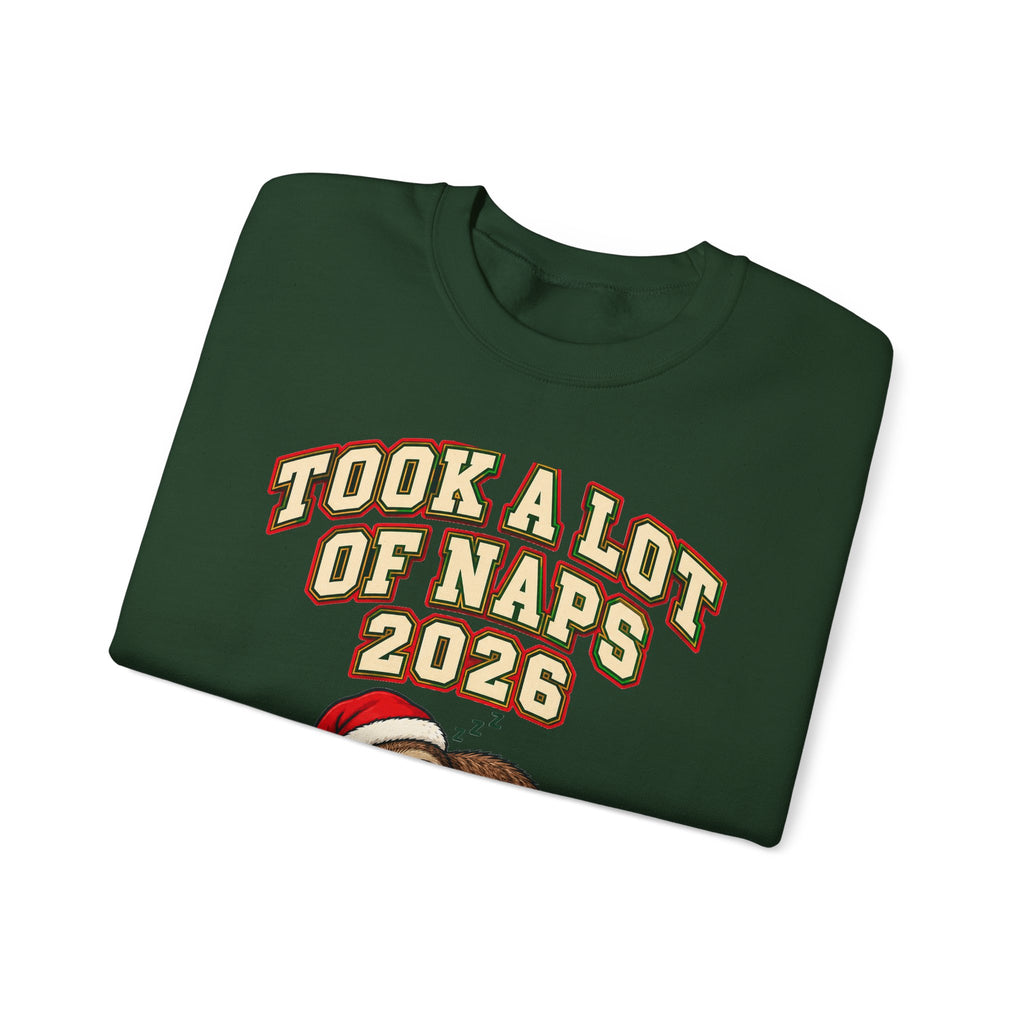 Funny Christmas Ornament Took A Lot Of Naps 2026 Mug Sweatshirt Dated Keepsake Gift for Dad New Parent Tired Mom Sloth