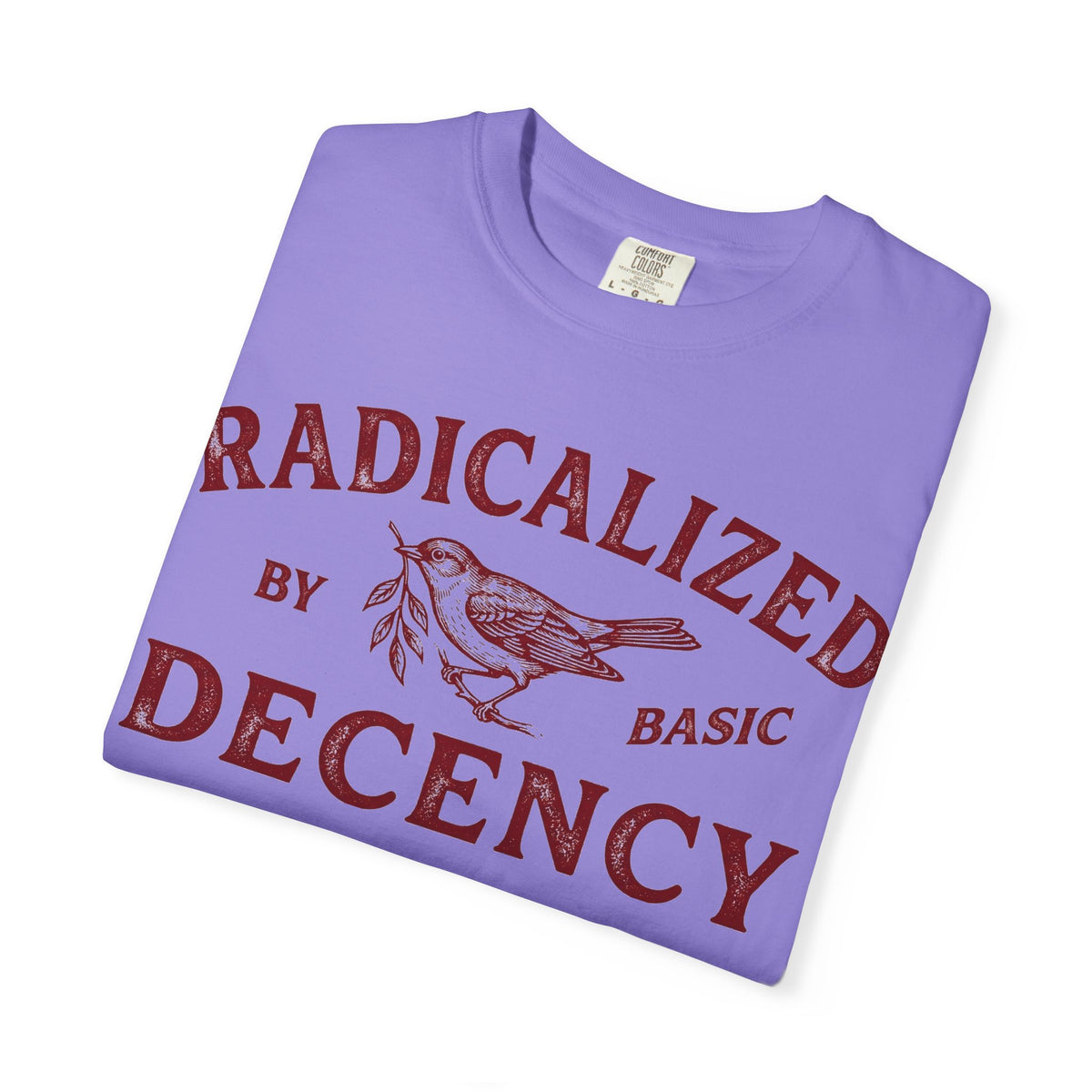 Radicalized By Basic Decency Bold Shirt, Engraved Bird Typography Tee, Kindness Statement Shirt, Protest Gift