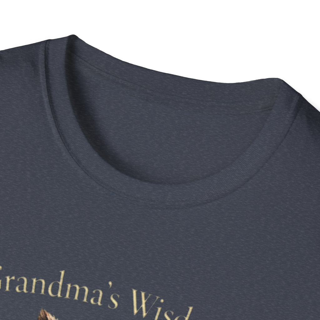 Grandma's Wisdom Priceless Shirt, Wise Owl Grandmother Tee, Nana Gift
