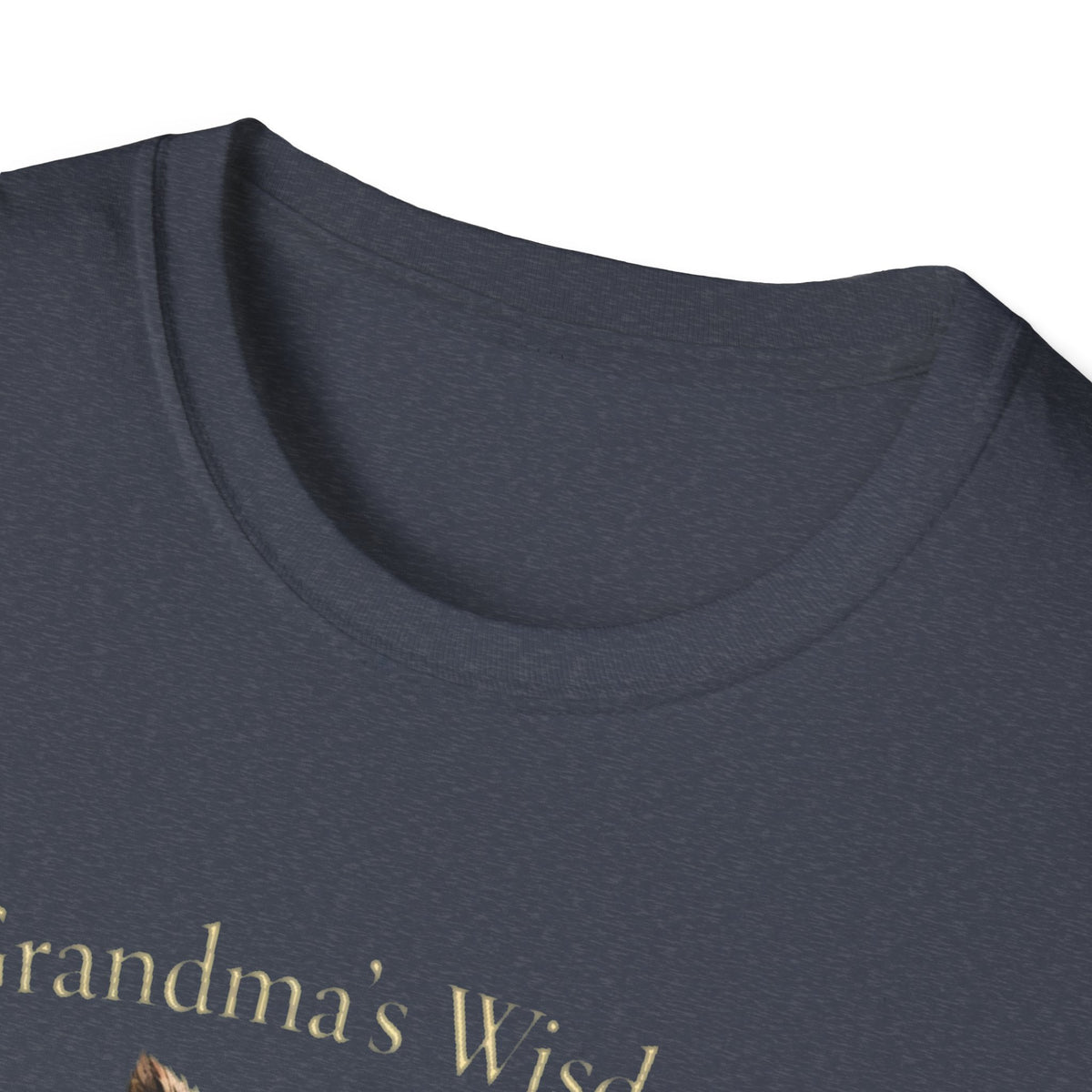 Grandma's Wisdom Priceless Shirt, Wise Owl Grandmother Tee, Nana Gift