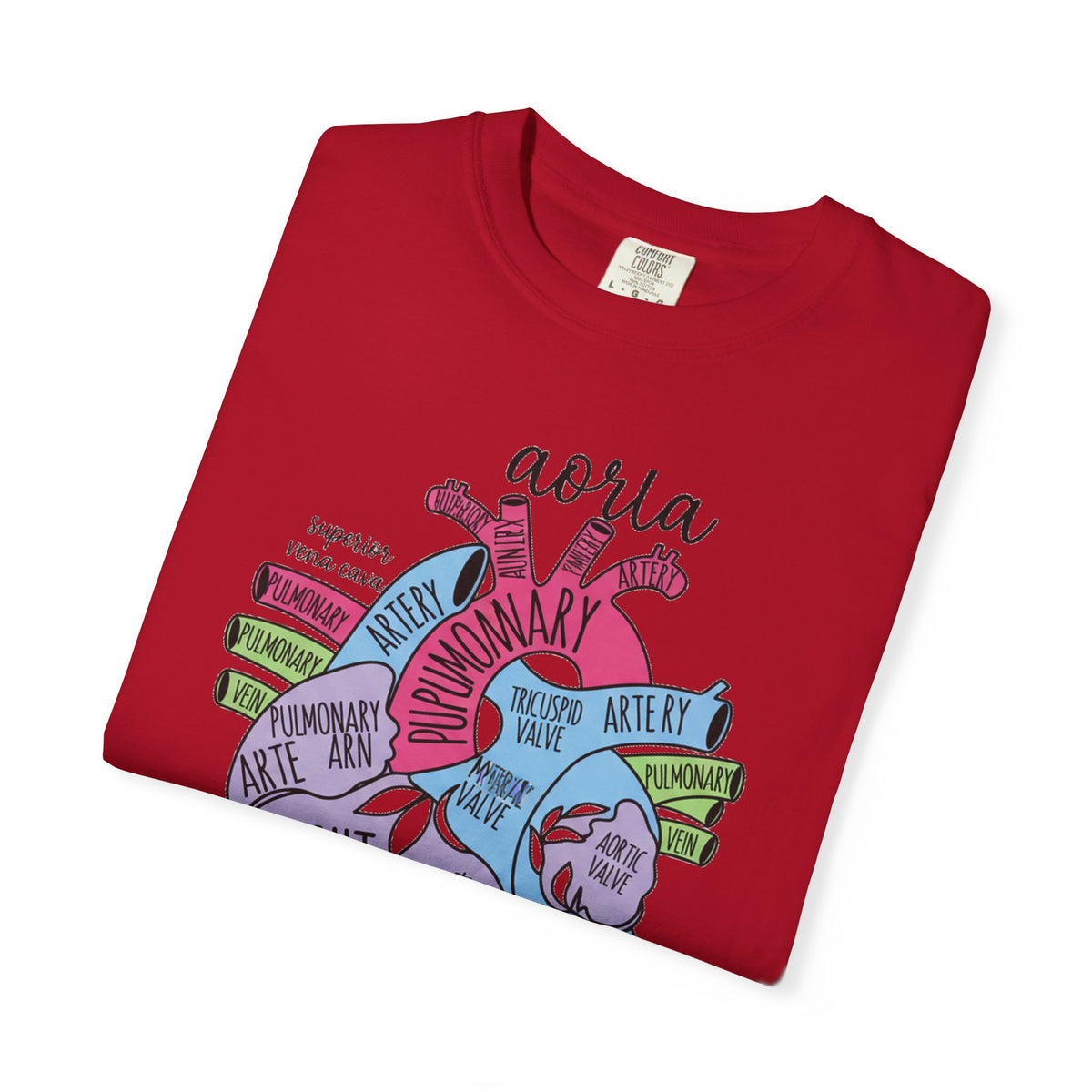Labelled Heart Anatomy Shirt, Pastel Cardiac Diagram Tee, Nursing School Shirt, Cardiology Gift