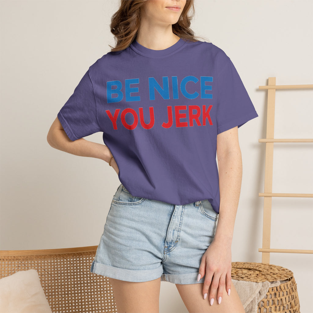 Be Nice You Jerk Wide Shirt, Funny Sarcastic Saying Tee, Light Blue And Red Shirt, Funny Friend Gift