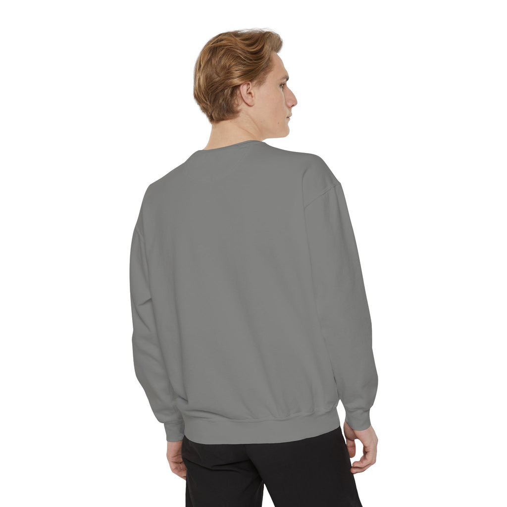 Orange Cat Behavior Sweatshirt — Cute Ginger Kitty Graphic Pullover