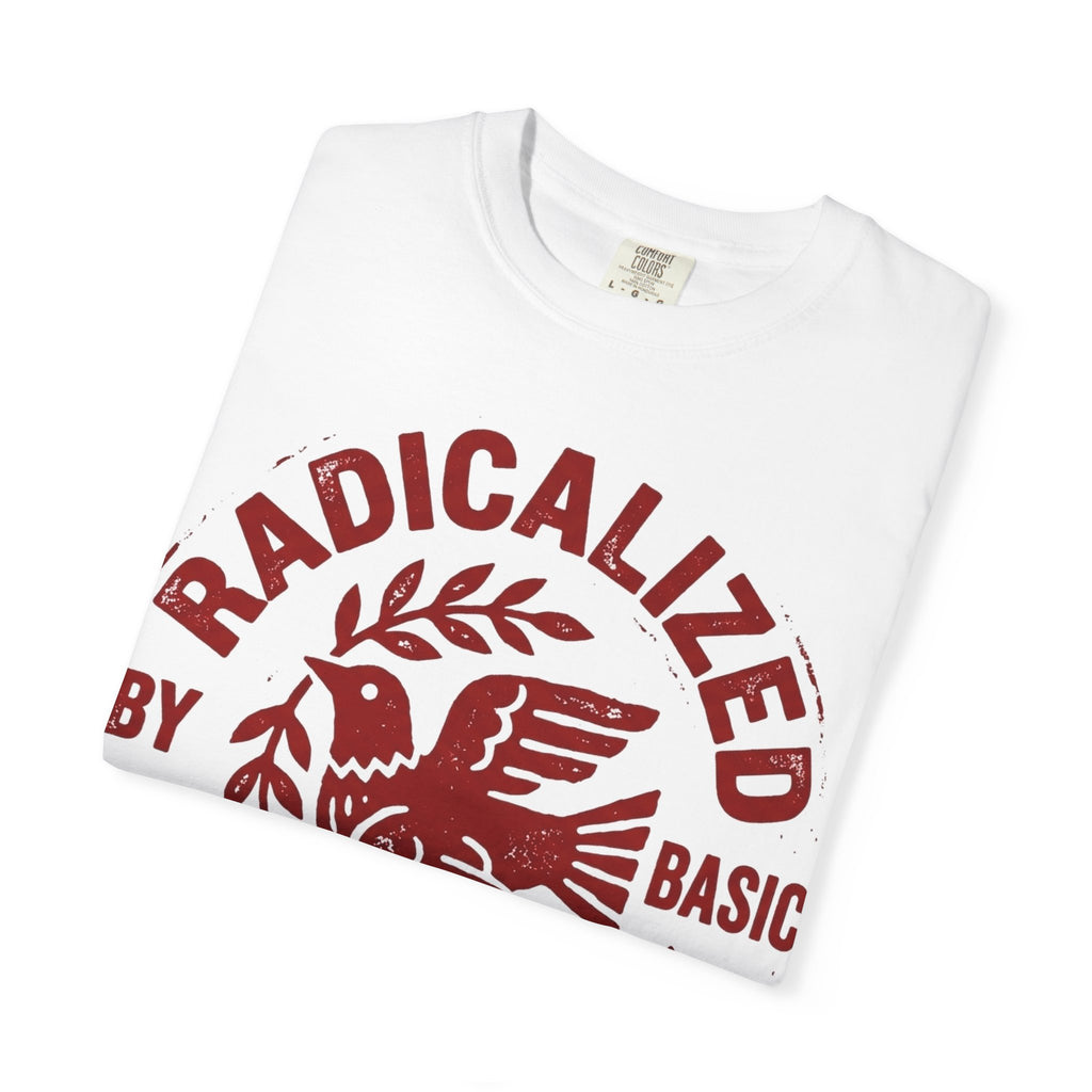 Radicalized By Basic Decency Shirt, Folk Art Dove Stamp Tee, Kindness Activist Shirt, Protest Gift