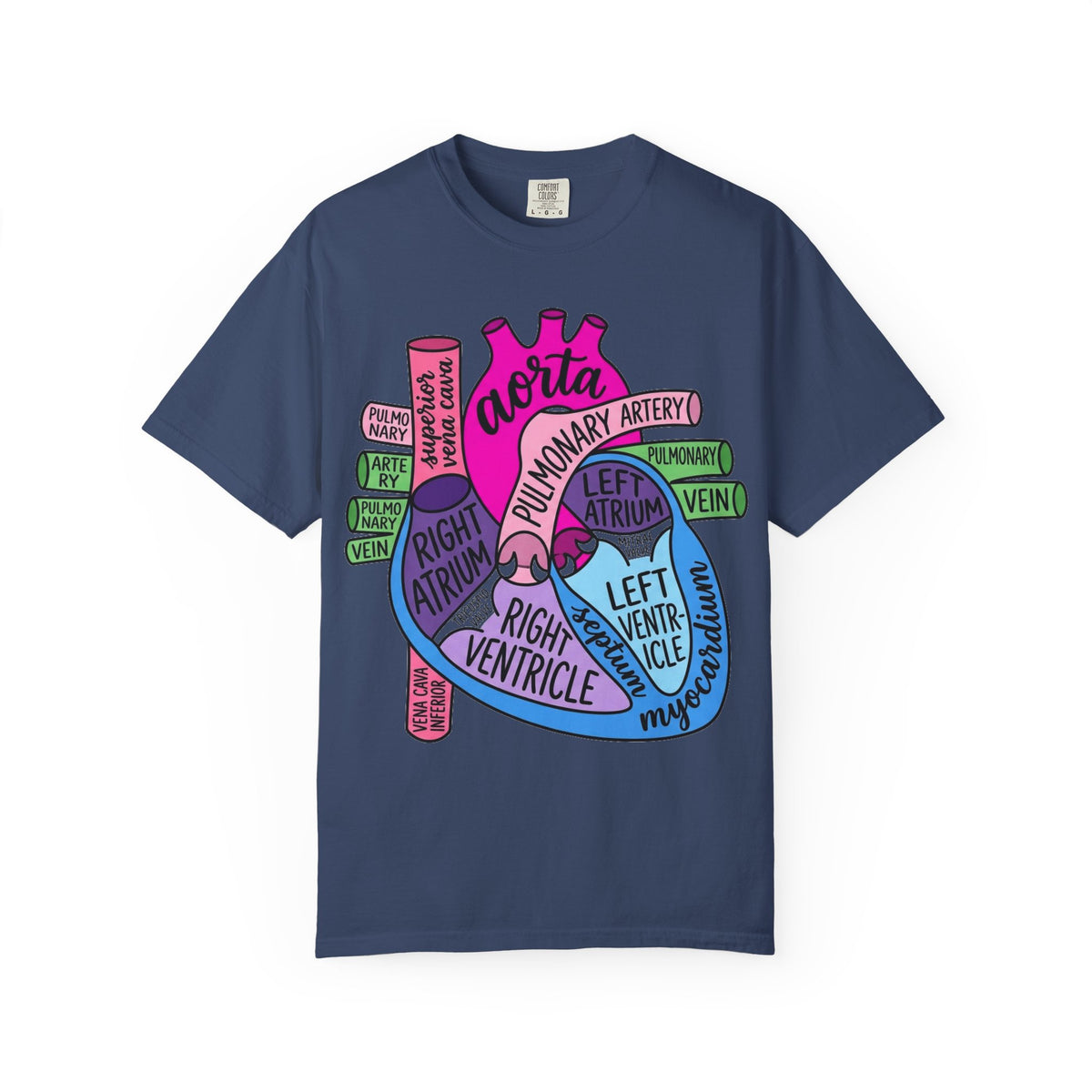 Anatomical Heart Diagram Shirt, Labelled Cardiac Anatomy Tee, Cardiology Nurse Shirt, Med Student Gift