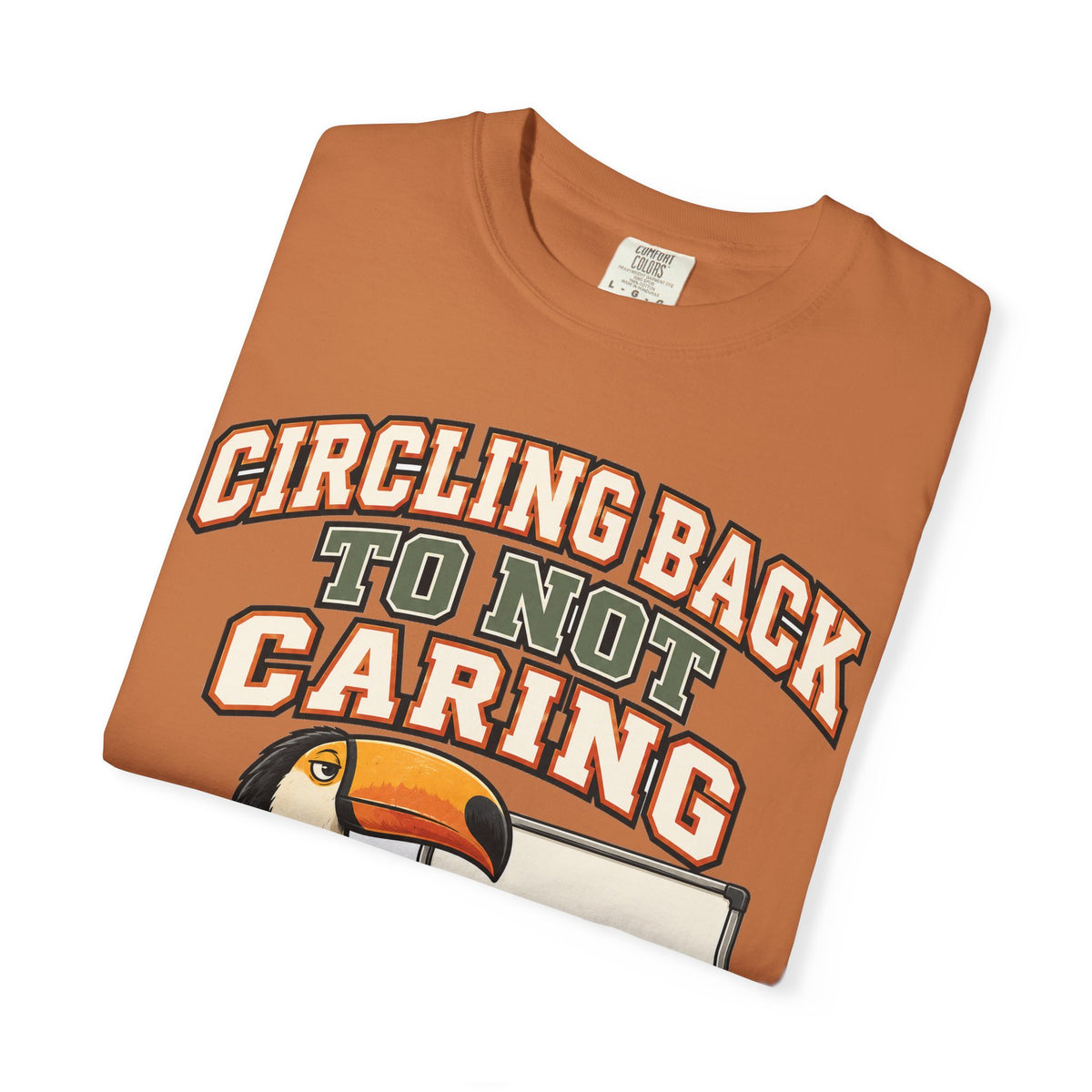 Sarcastic Shirt Circling Back To Not Caring, Funny Sarcastic Tee, Comfort Colors Graphic Shirt