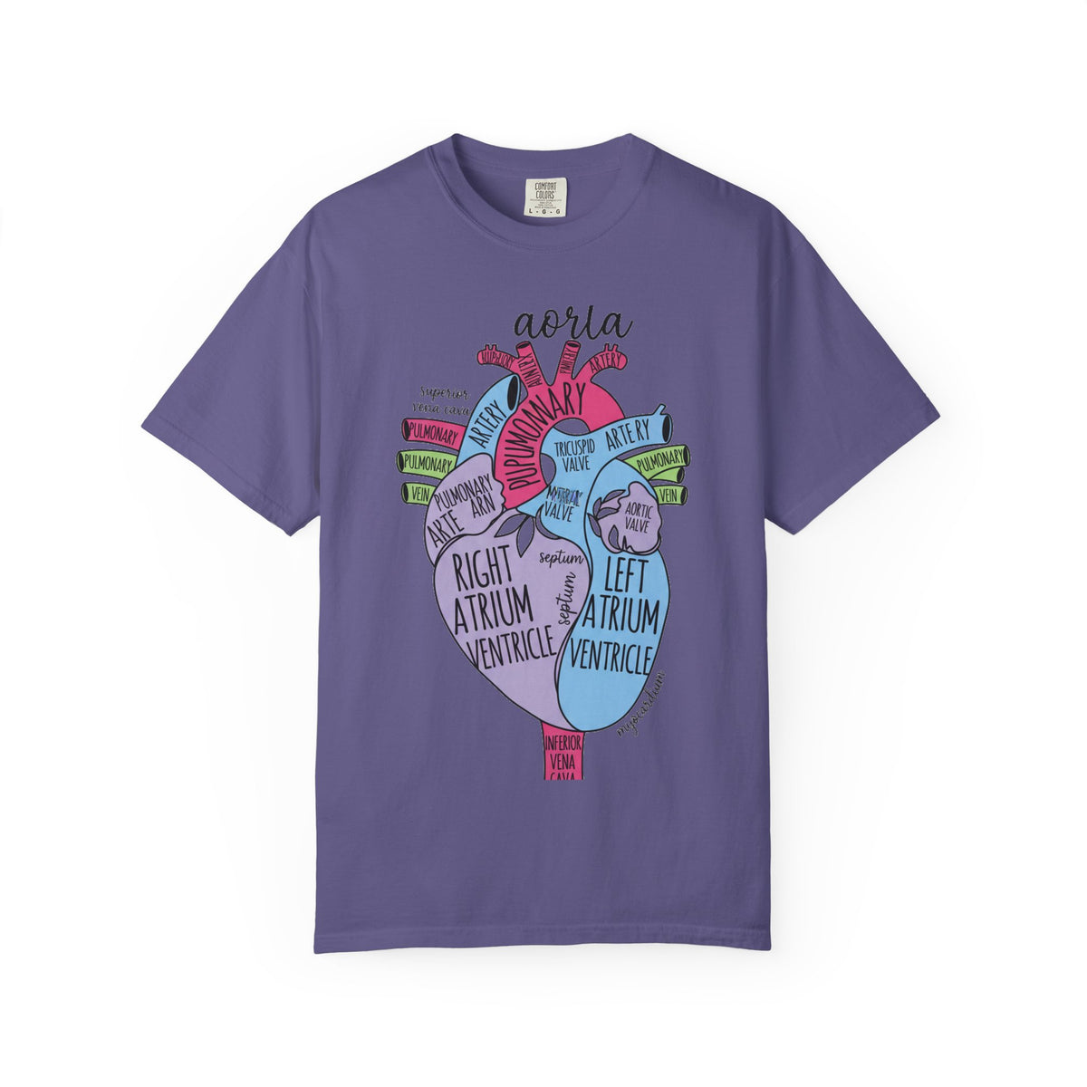 Labelled Heart Anatomy Shirt, Pastel Cardiac Diagram Tee, Nursing School Shirt, Cardiology Gift
