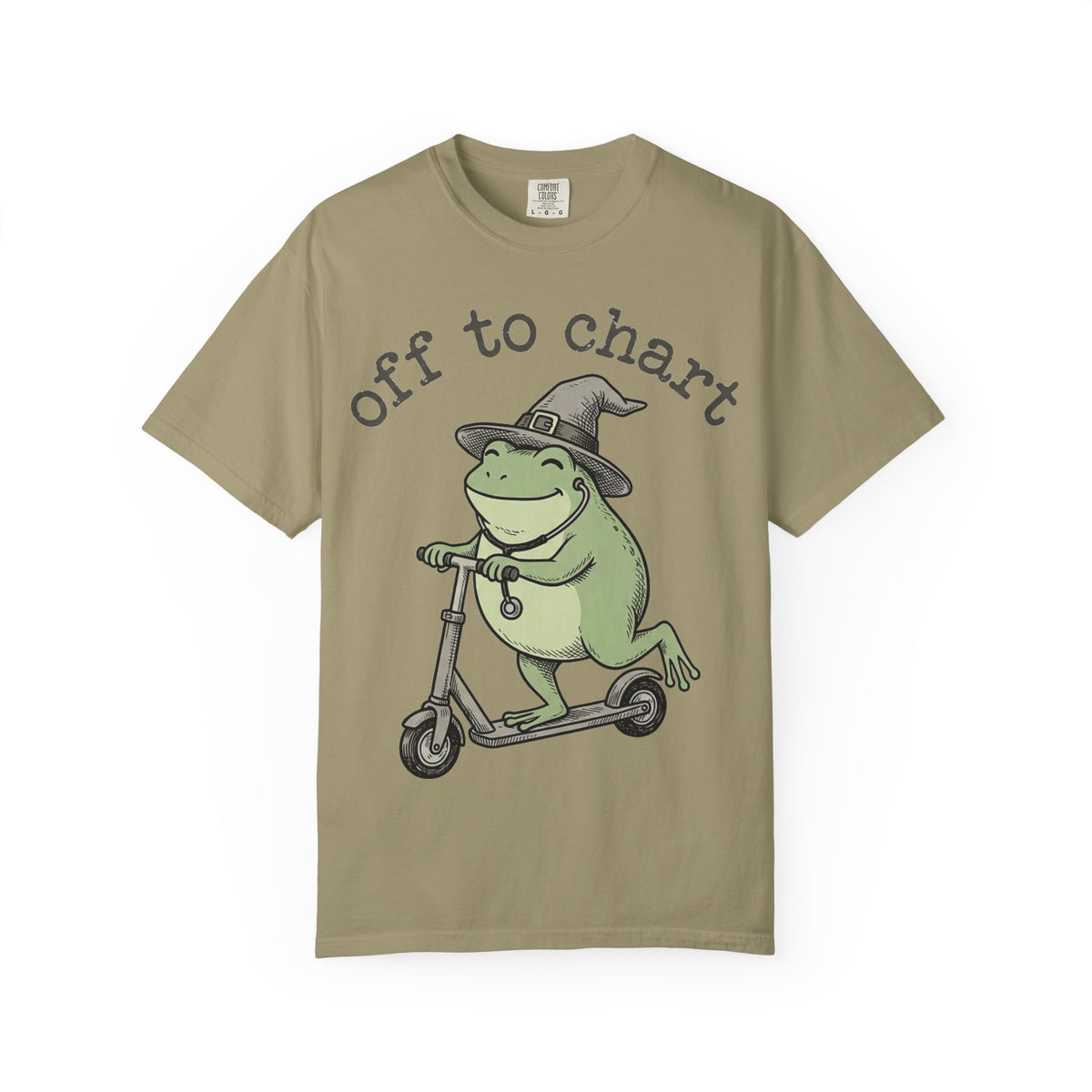 Off To Chart Shirt, Funny Witch Frog Nurse Tee, Charting Nurse Scooter Shirt, RN Gift