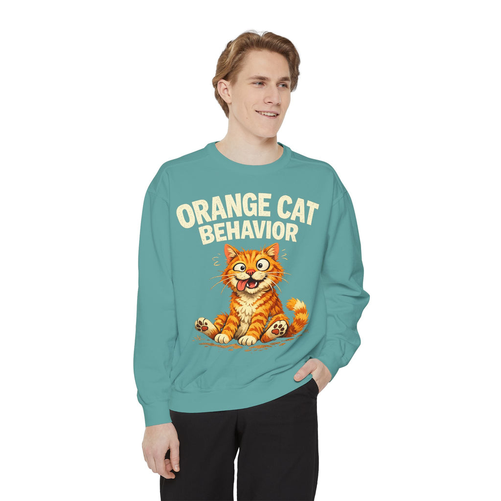 Orange Cat Behavior Sweatshirt — Cute Ginger Kitty Graphic Pullover