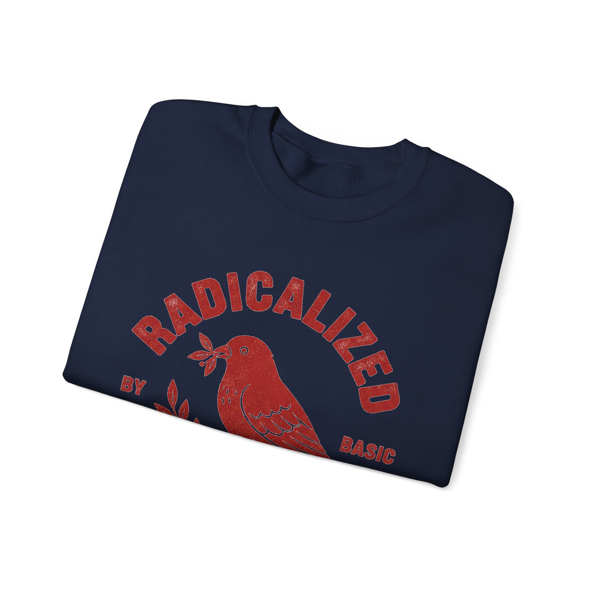 Radicalized By Basic Decency Sweatshirt, Vintage Bird Badge Political Sweatshirt, Progressive Kindness Sweatshirt, Liberal Gift, Retro Activ