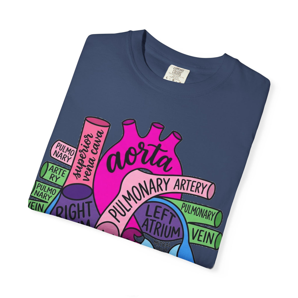 Anatomical Heart Diagram Shirt, Labelled Cardiac Anatomy Tee, Cardiology Nurse Shirt, Med Student Gift