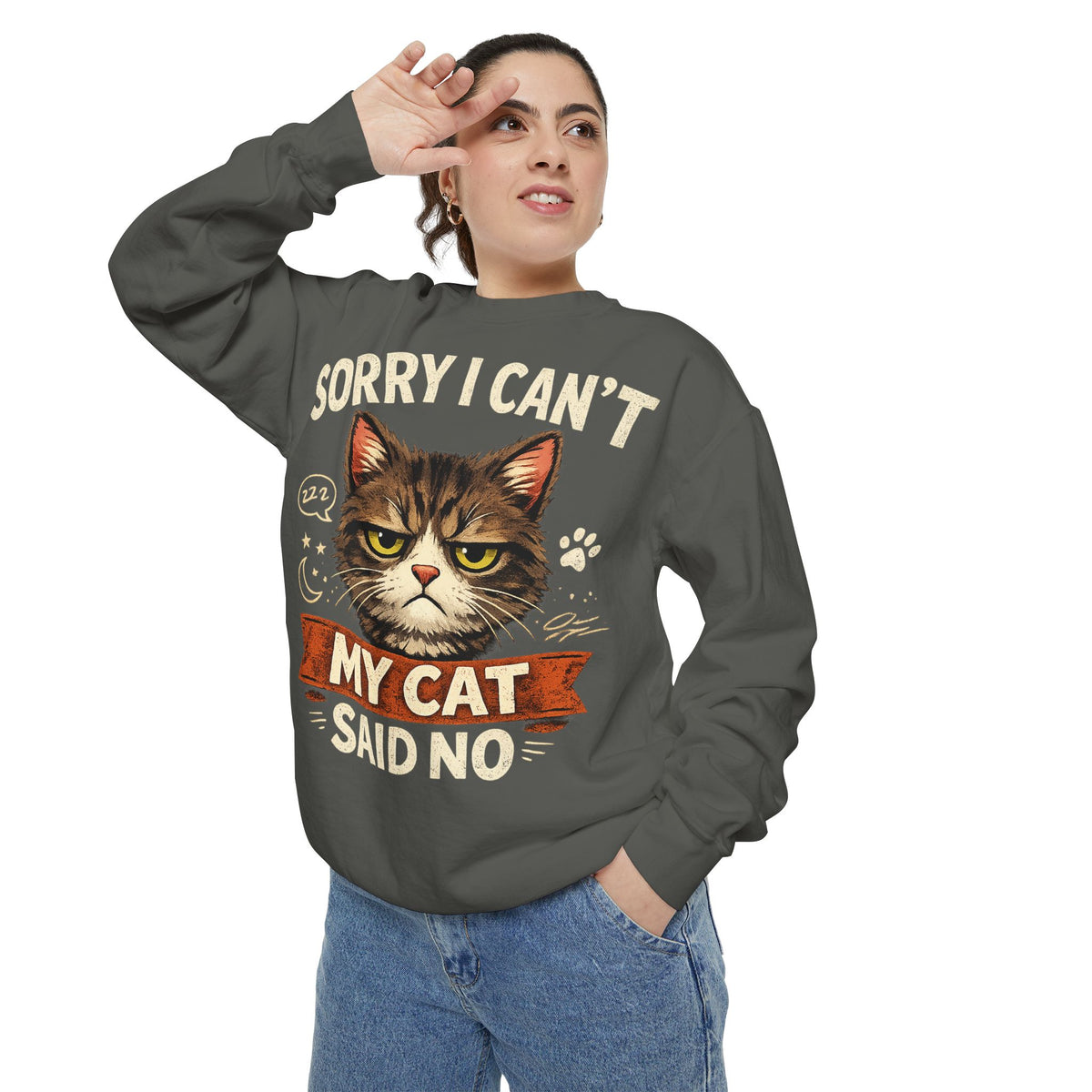 Sorry I Can't My Cat Said No Sweatshirt — Funny Cat Lover Pullover
