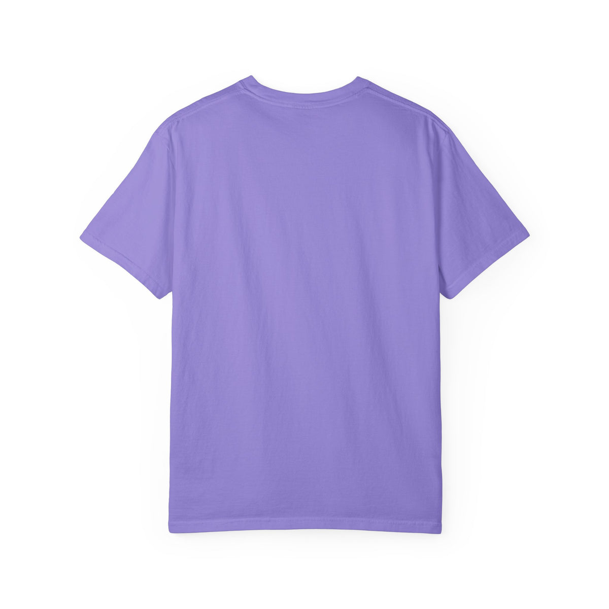 One Lucky Goose Framed Panels Shirt, Irish Goose Trio Tee, St Patricks Day Shirt, Funny Gift
