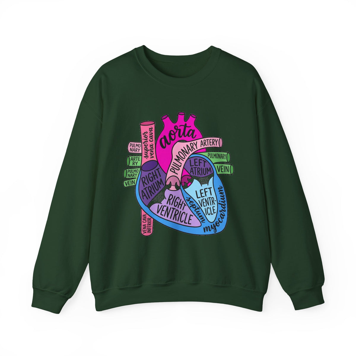 Anatomical Heart Sweatshirt, Pop Art Cardiac Anatomy Sweatshirt, Cardiology Nurse Gift, Med Student Sweatshirt, Cardiac Sonographer Sweatshi