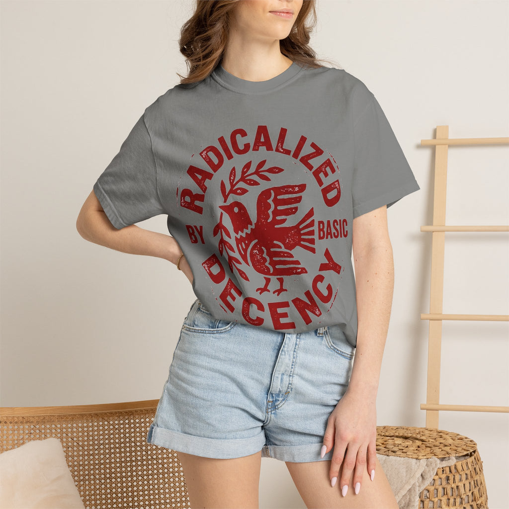 Radicalized By Basic Decency Shirt, Folk Art Dove Stamp Tee, Kindness Activist Shirt, Protest Gift