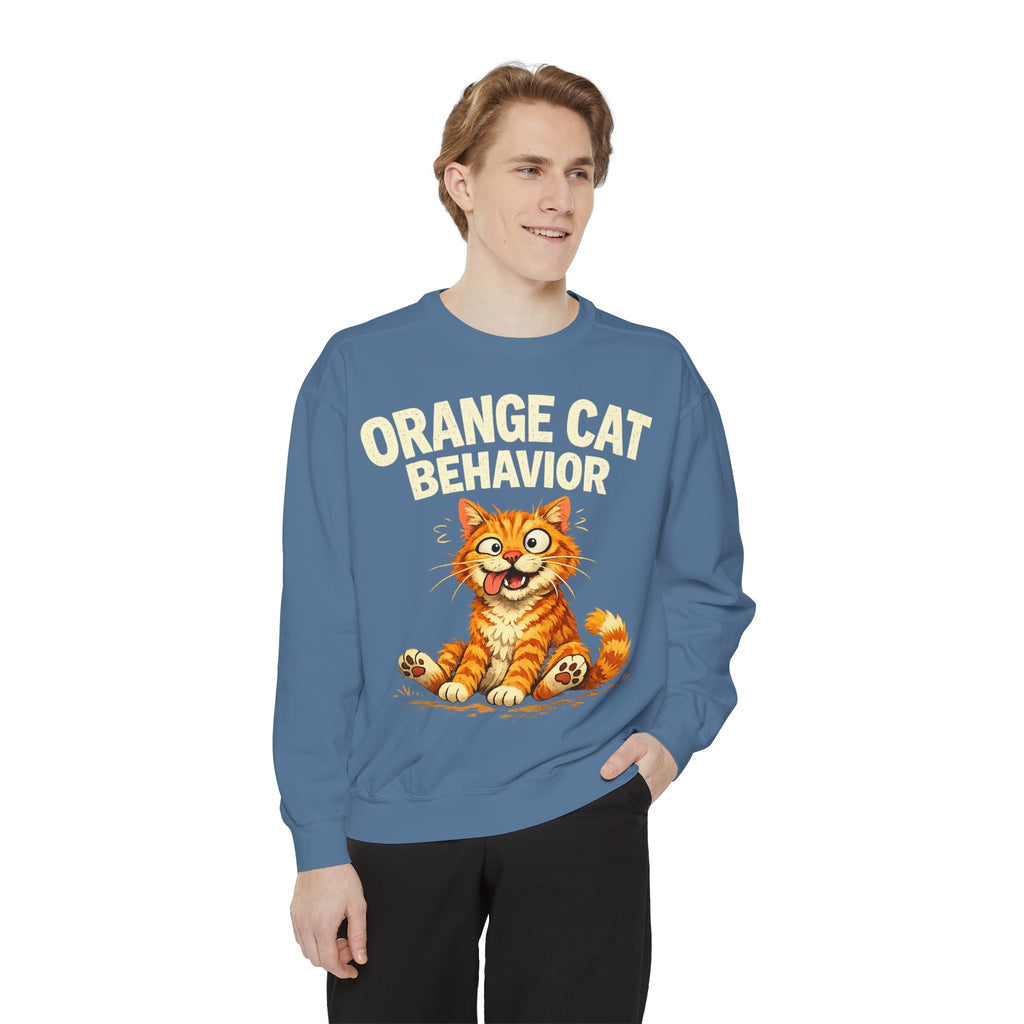 Orange Cat Behavior Sweatshirt — Cute Ginger Kitty Graphic Pullover
