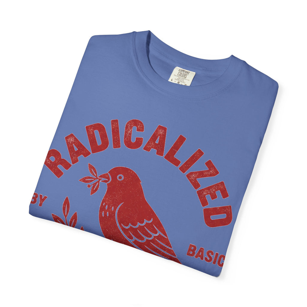 Radicalized By Basic Decency Arched Shirt, Red Folk Bird Tee, Kindness Statement Shirt, Activist Gift