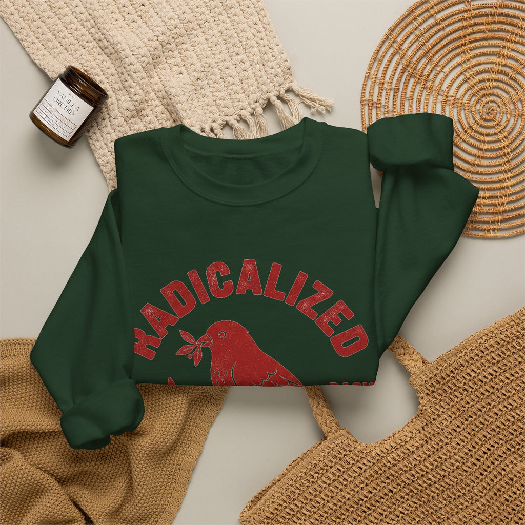 Radicalized By Basic Decency Sweatshirt, Vintage Bird Badge Political Sweatshirt, Progressive Kindness Sweatshirt, Liberal Gift, Retro Activ