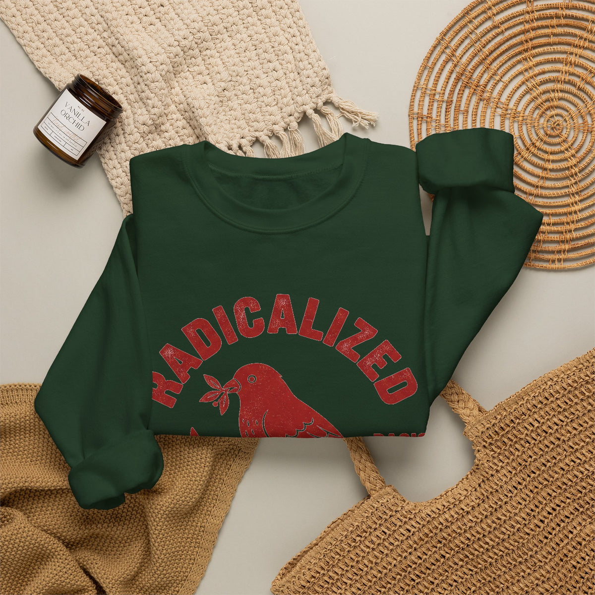 Radicalized By Basic Decency Sweatshirt, Vintage Bird Badge Political Sweatshirt, Progressive Kindness Sweatshirt, Liberal Gift, Retro Activ