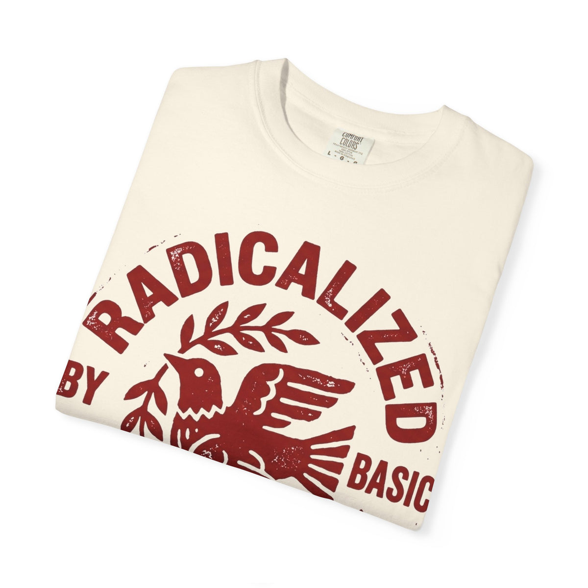 Radicalized By Basic Decency Shirt, Folk Art Dove Stamp Tee, Kindness Activist Shirt, Protest Gift