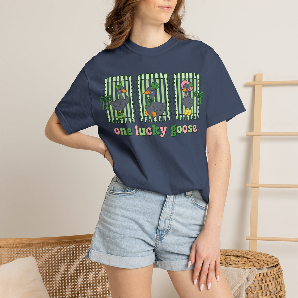 One Lucky Goose Framed Panels Shirt, Irish Goose Trio Tee, St Patricks Day Shirt, Funny Gift