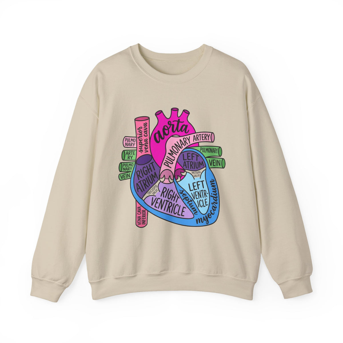 Anatomical Heart Sweatshirt, Pop Art Cardiac Anatomy Sweatshirt, Cardiology Nurse Gift, Med Student Sweatshirt, Cardiac Sonographer Sweatshi