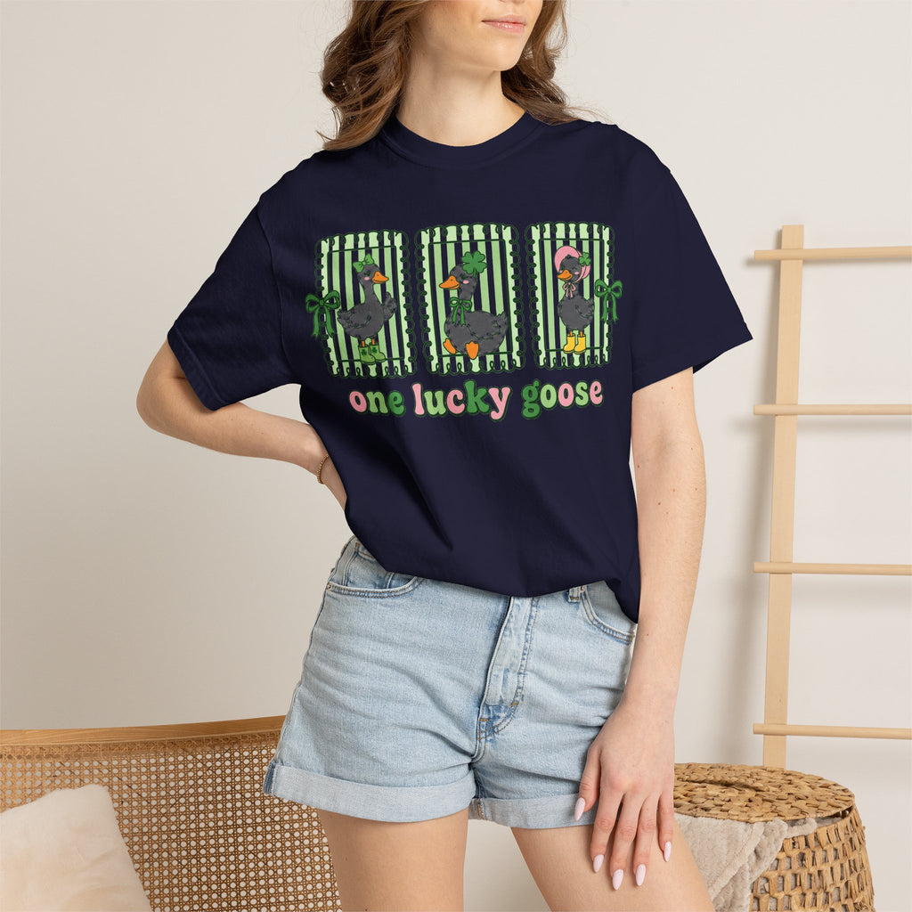 One Lucky Goose Framed Panels Shirt, Irish Goose Trio Tee, St Patricks Day Shirt, Funny Gift