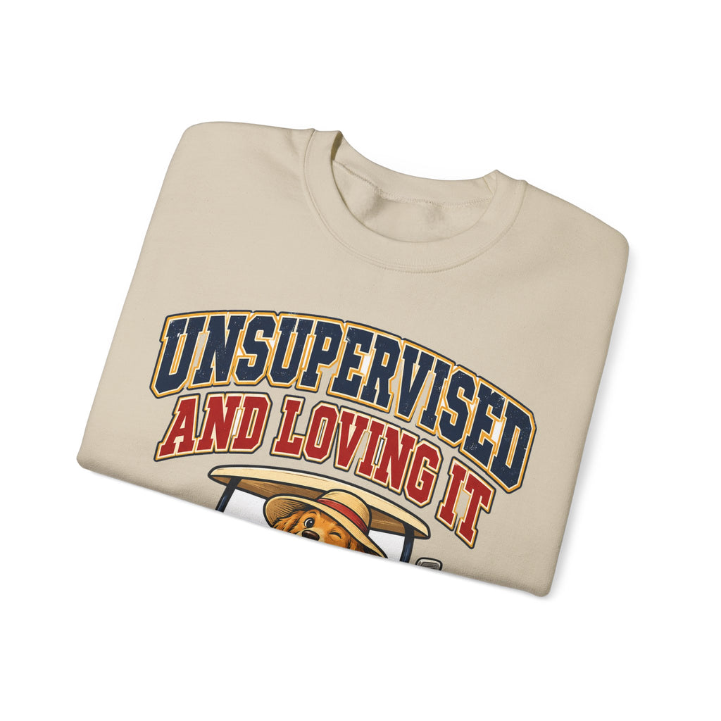 funny retirement Sweatshirt Unsupervised And Loving It Sweatshirt, Funny Graphic Sweatshirt,