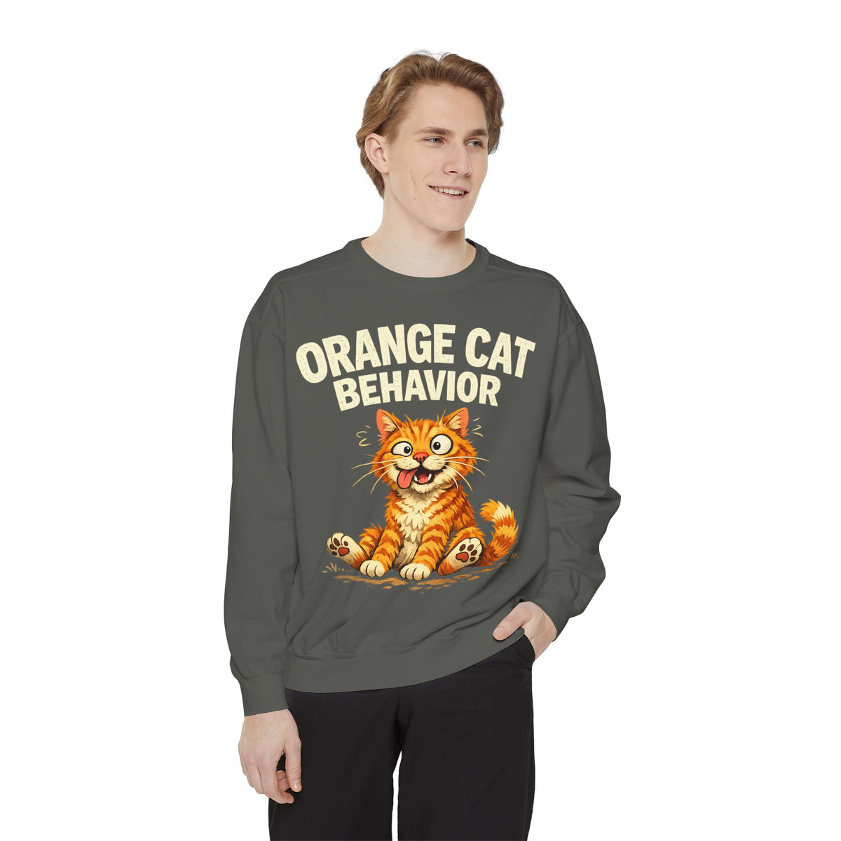 Orange Cat Behavior Sweatshirt — Cute Ginger Kitty Graphic Pullover