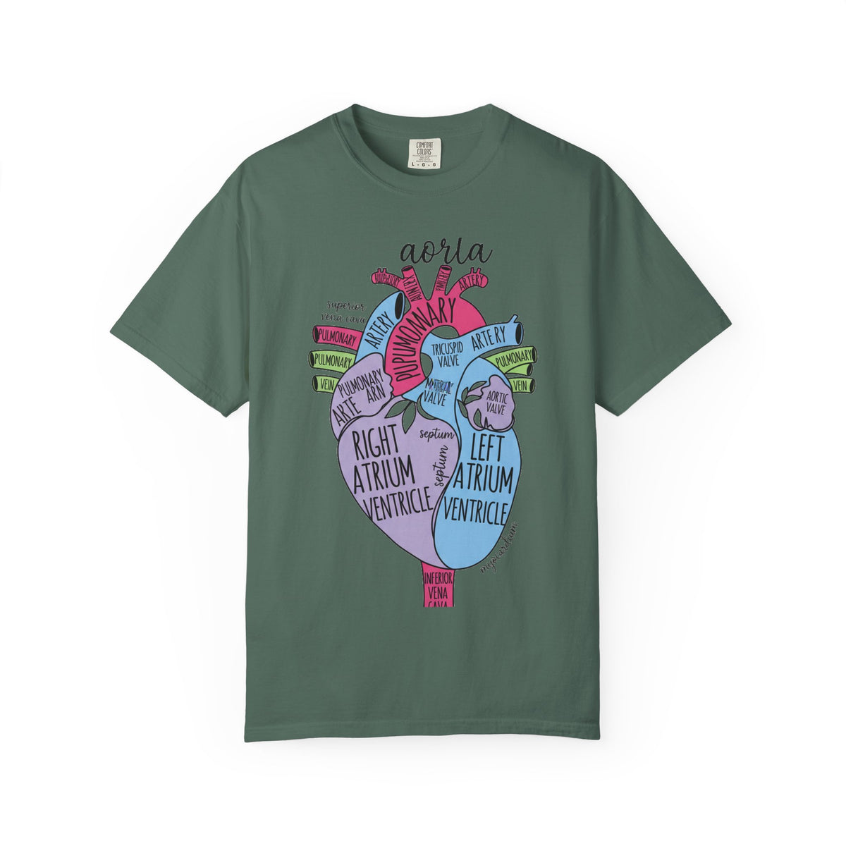Labelled Heart Anatomy Shirt, Pastel Cardiac Diagram Tee, Nursing School Shirt, Cardiology Gift