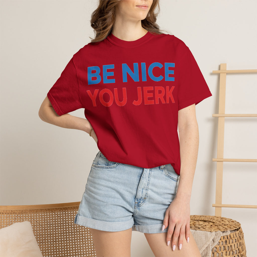 Be Nice You Jerk Wide Shirt, Funny Sarcastic Saying Tee, Light Blue And Red Shirt, Funny Friend Gift