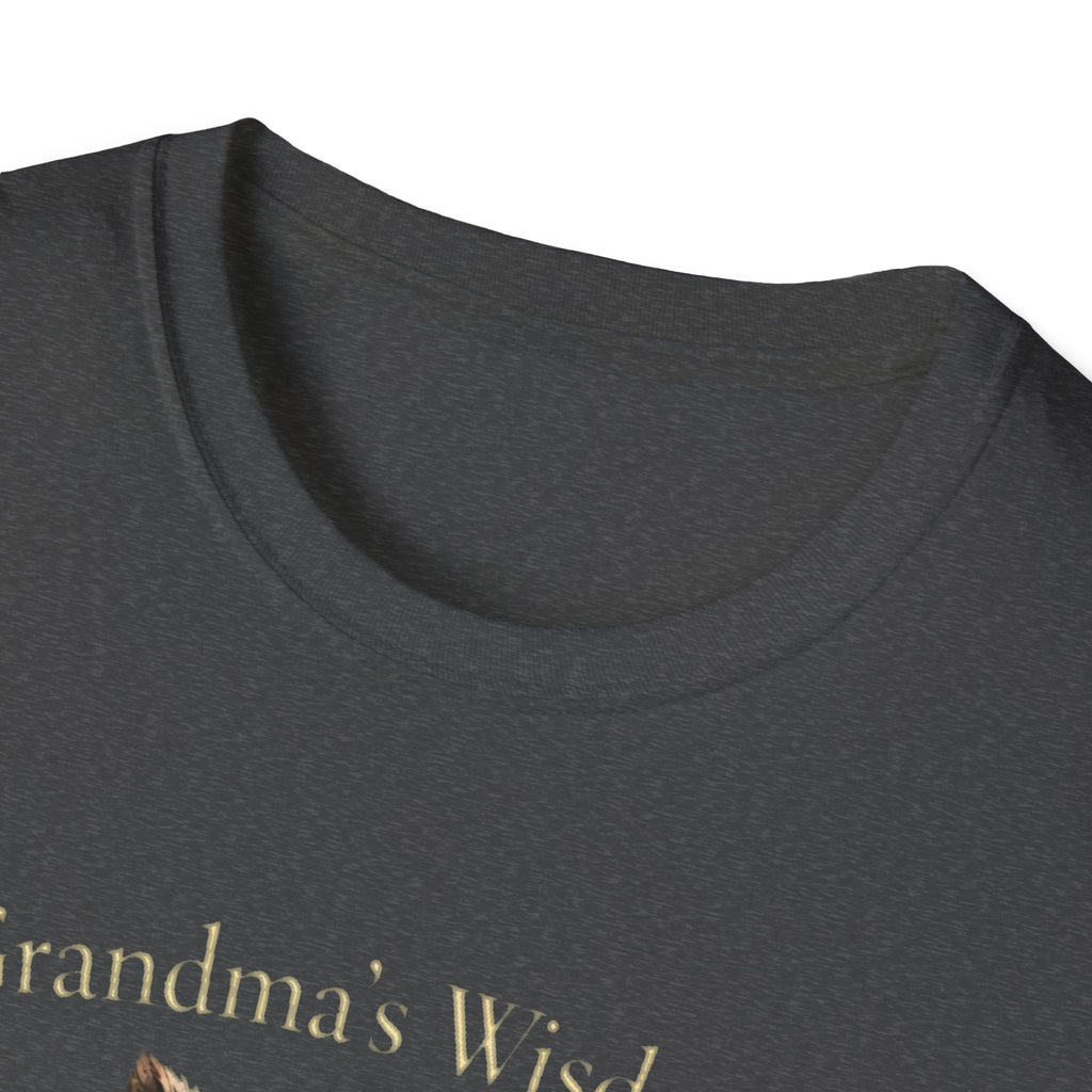 Grandma's Wisdom Priceless Shirt, Wise Owl Grandmother Tee, Nana Gift
