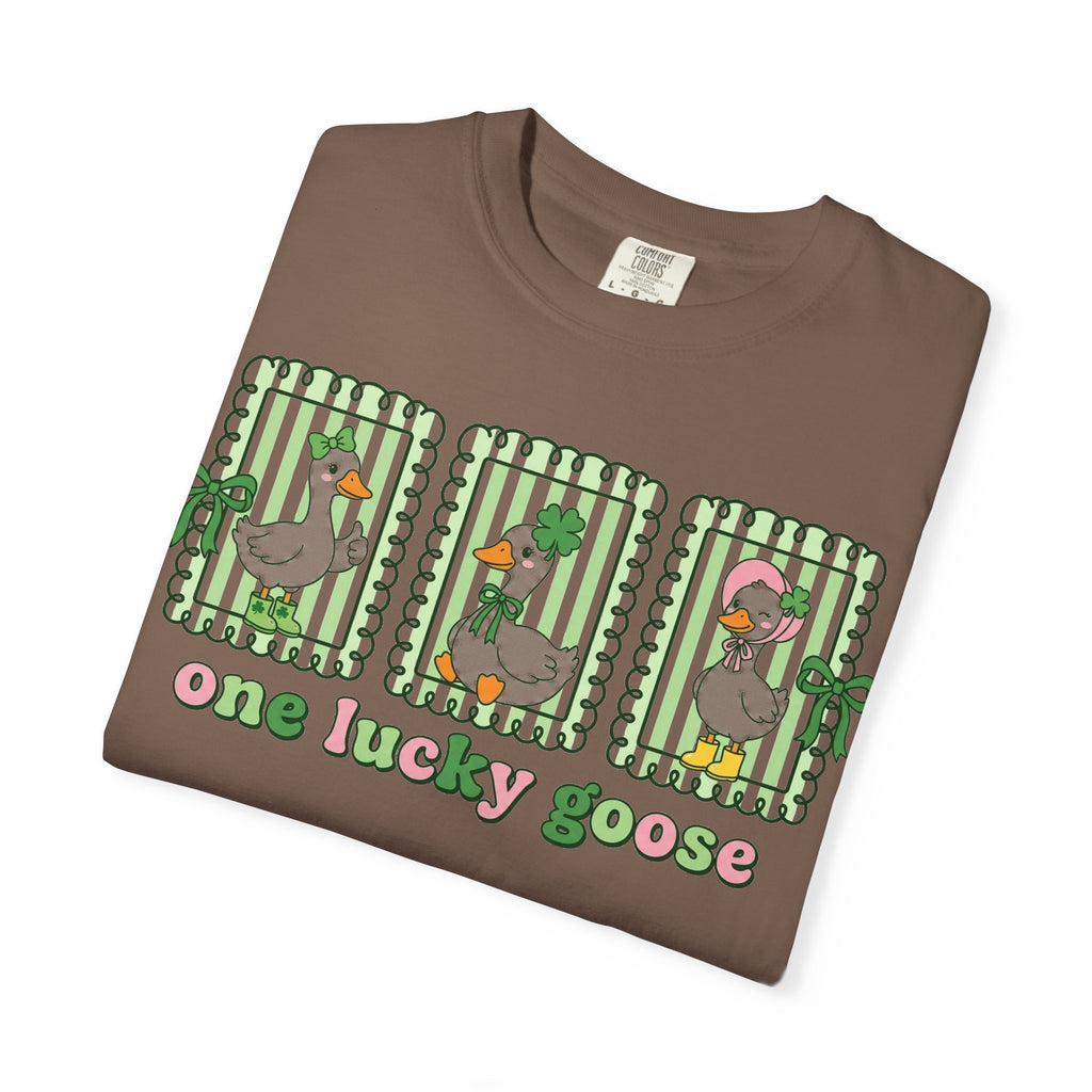 One Lucky Goose Framed Panels Shirt, Irish Goose Trio Tee, St Patricks Day Shirt, Funny Gift