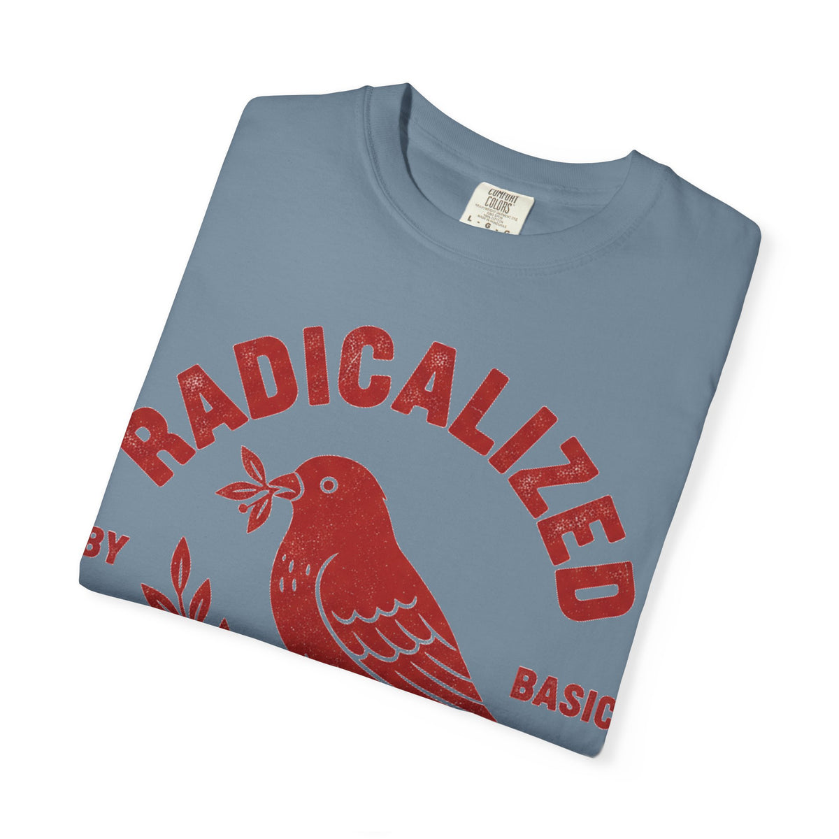 Radicalized By Basic Decency Arched Shirt, Red Folk Bird Tee, Kindness Statement Shirt, Activist Gift