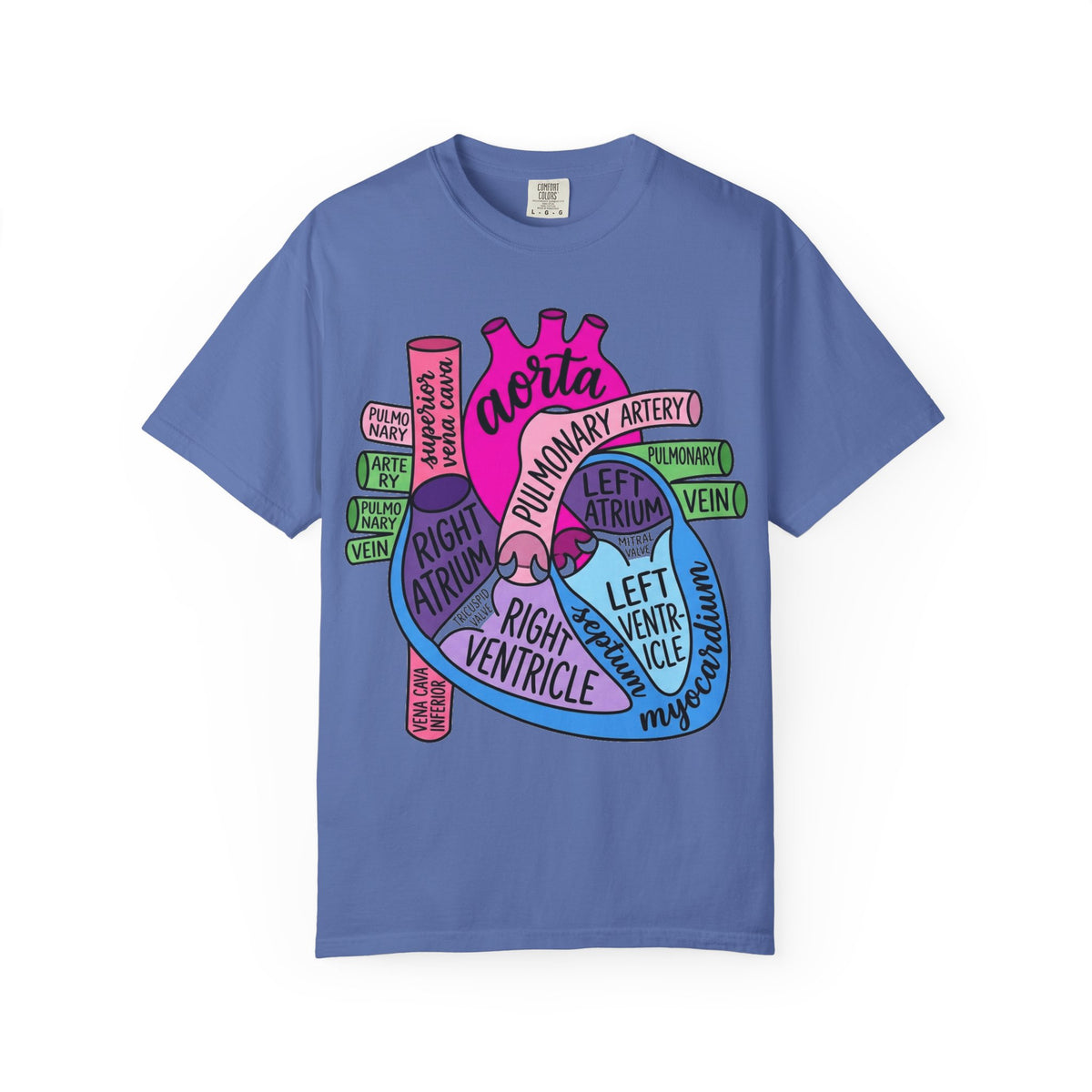 Anatomical Heart Diagram Shirt, Labelled Cardiac Anatomy Tee, Cardiology Nurse Shirt, Med Student Gift