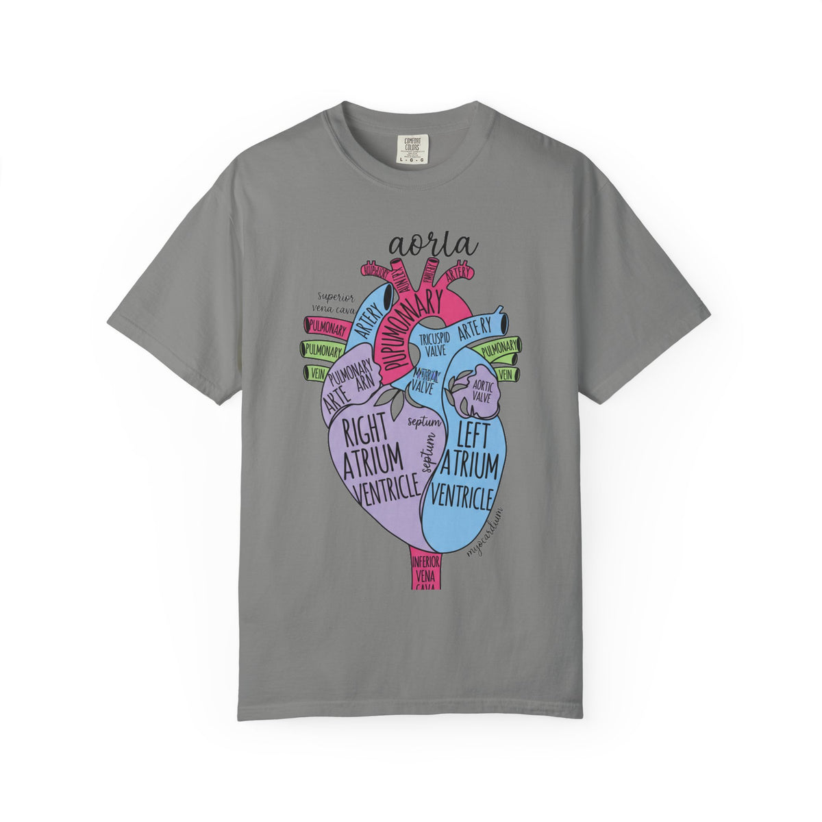 Labelled Heart Anatomy Shirt, Pastel Cardiac Diagram Tee, Nursing School Shirt, Cardiology Gift